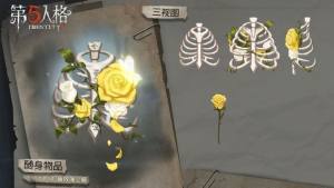 第五人格黄玫瑰之骸值得买吗？黄玫瑰之骸特效与性价比攻略图片3