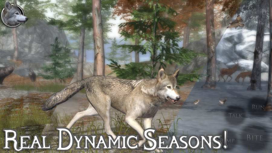 终极野狼模拟器2汉化版图3