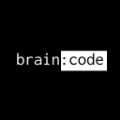 大脑代码