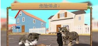 捣蛋猫咪模拟器游戏图2