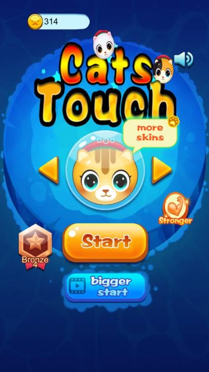 Cats Touch游戏图3
