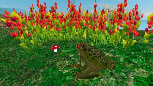 雨林青蛙生存模拟游戏图2