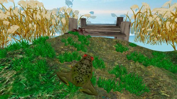 雨林青蛙生存模拟游戏图1