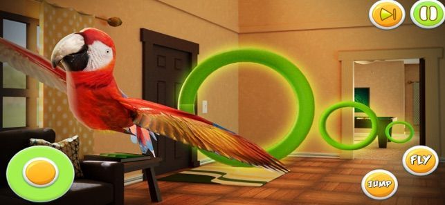 鹦鹉模拟器宠物世界3D游戏图3