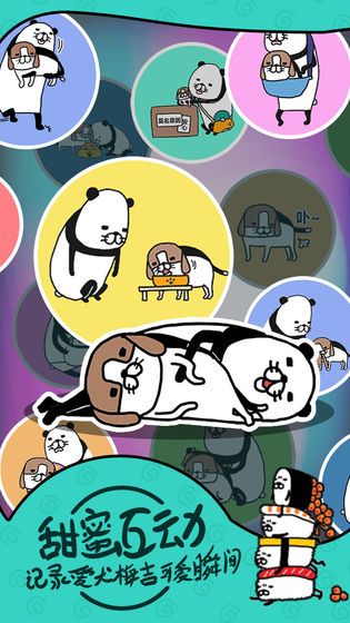 熊猫和狗狗狗什么时候都好可爱呀游戏图3