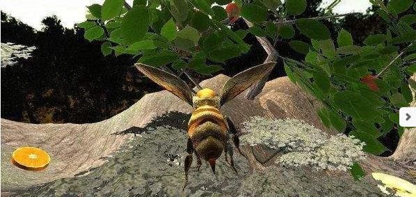 蜜蜂生存模拟器安卓版图3