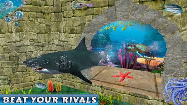 鲨鱼海底赛车游戏图3