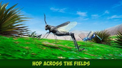 印度蝗虫模拟器游戏图1