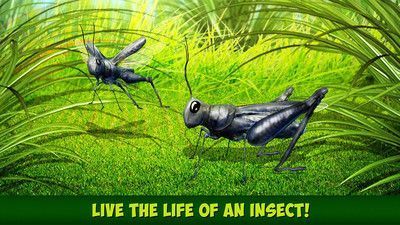 印度蝗虫模拟器游戏安卓版图片1