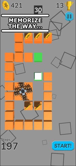 褐色迷宫正版图2