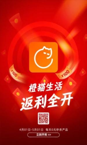 橙猫生活app图3