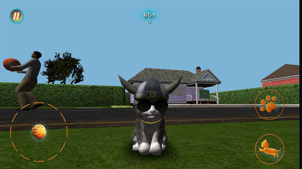 真实小猫3D模拟游戏图3