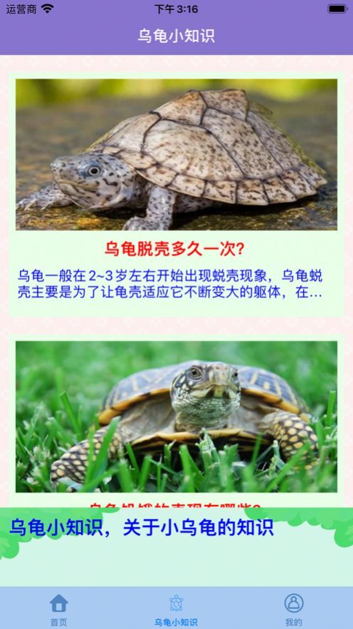 艾龟屋乌龟信息手机版app官方下载图片1