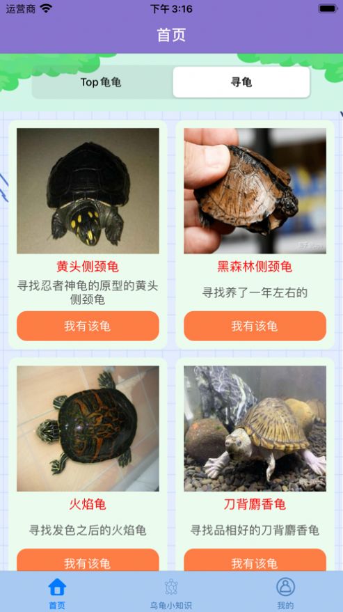 艾龟屋乌龟信息手机版app官方下载图片4