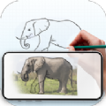 draw trace sketch软件app