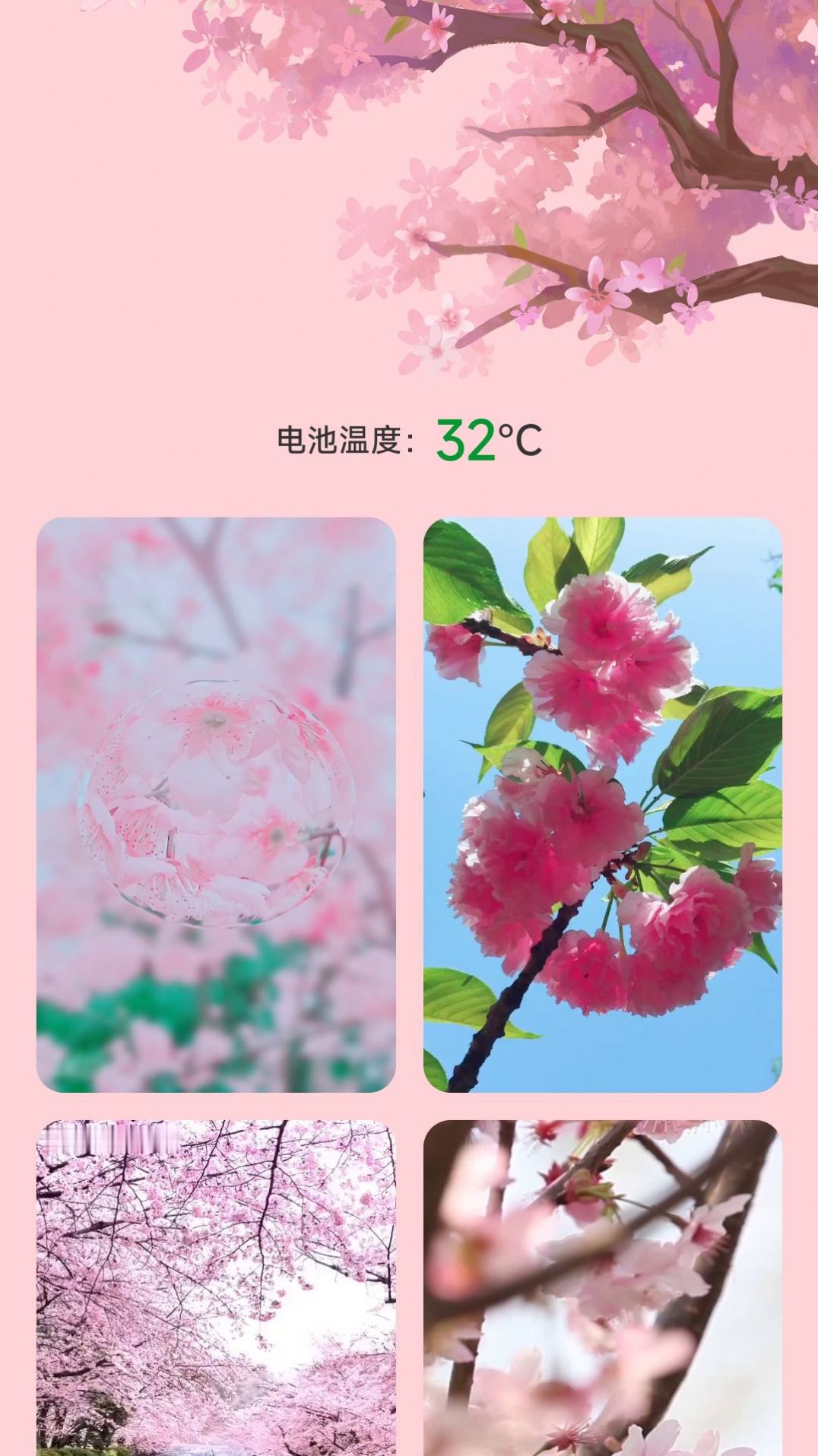 樱花充电app安卓最新版图片1