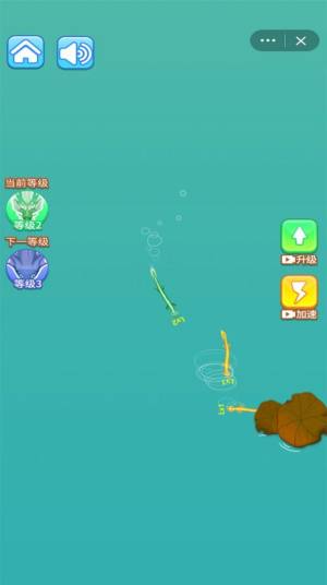 神龙变蝌蚪游戏安卓版图片1