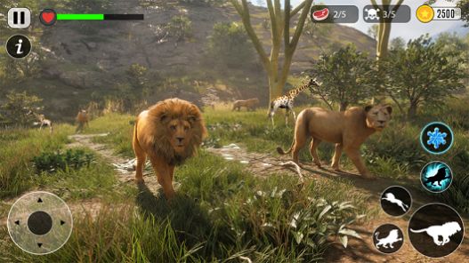 狮子模拟器动物生存游戏官方最新版图片2