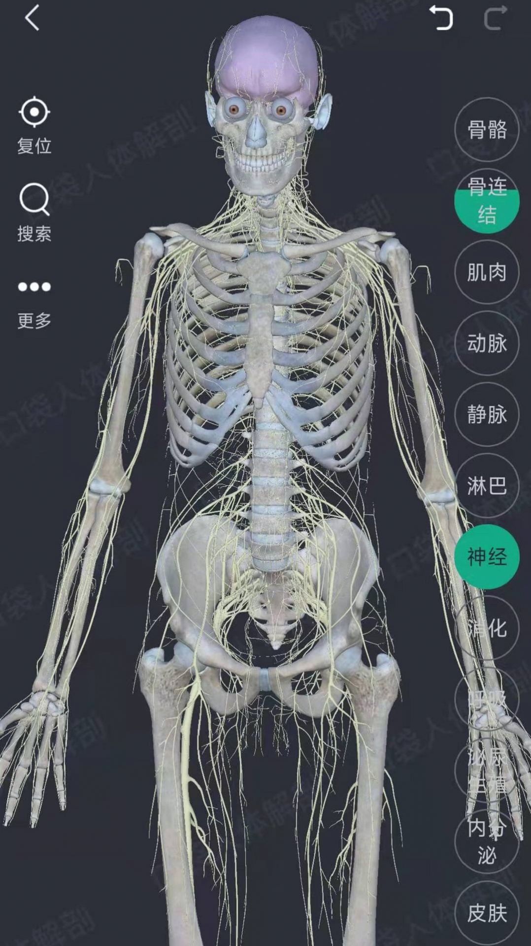 万康人体解剖app图2