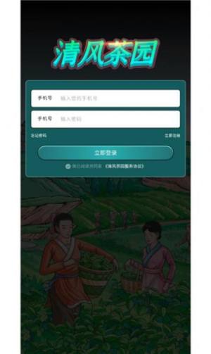 清风茶园游戏官方红包版图片3