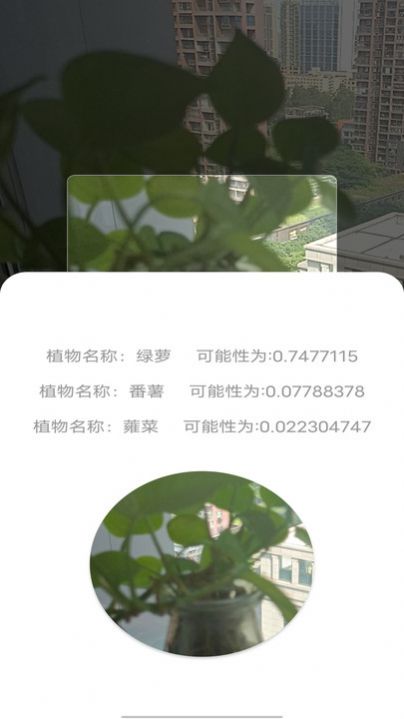 拍照识别植物弛意版app安卓版图片2