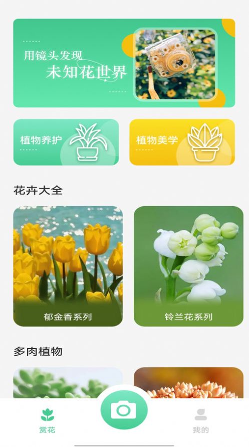 拍照识别植物弛意版app安卓版图片3