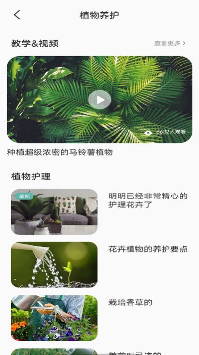 拍照识别植物弛意版app安卓版图片5