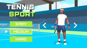 3D网球赛游戏图2