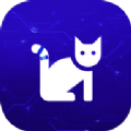 CatRoom影视app