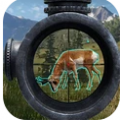 模拟打猎人游戏